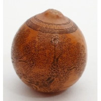 Chinees beschilderde pit van vrucht